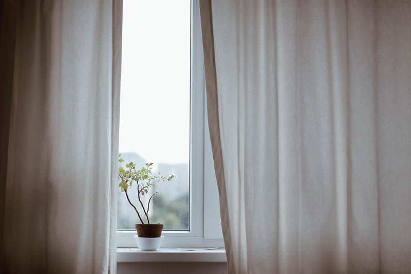 Indoor greenery ideas