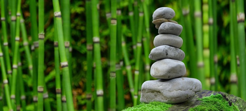Zen garden concepts
